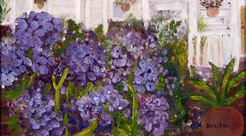 Hydrangea High