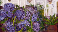 Hydrangea-High